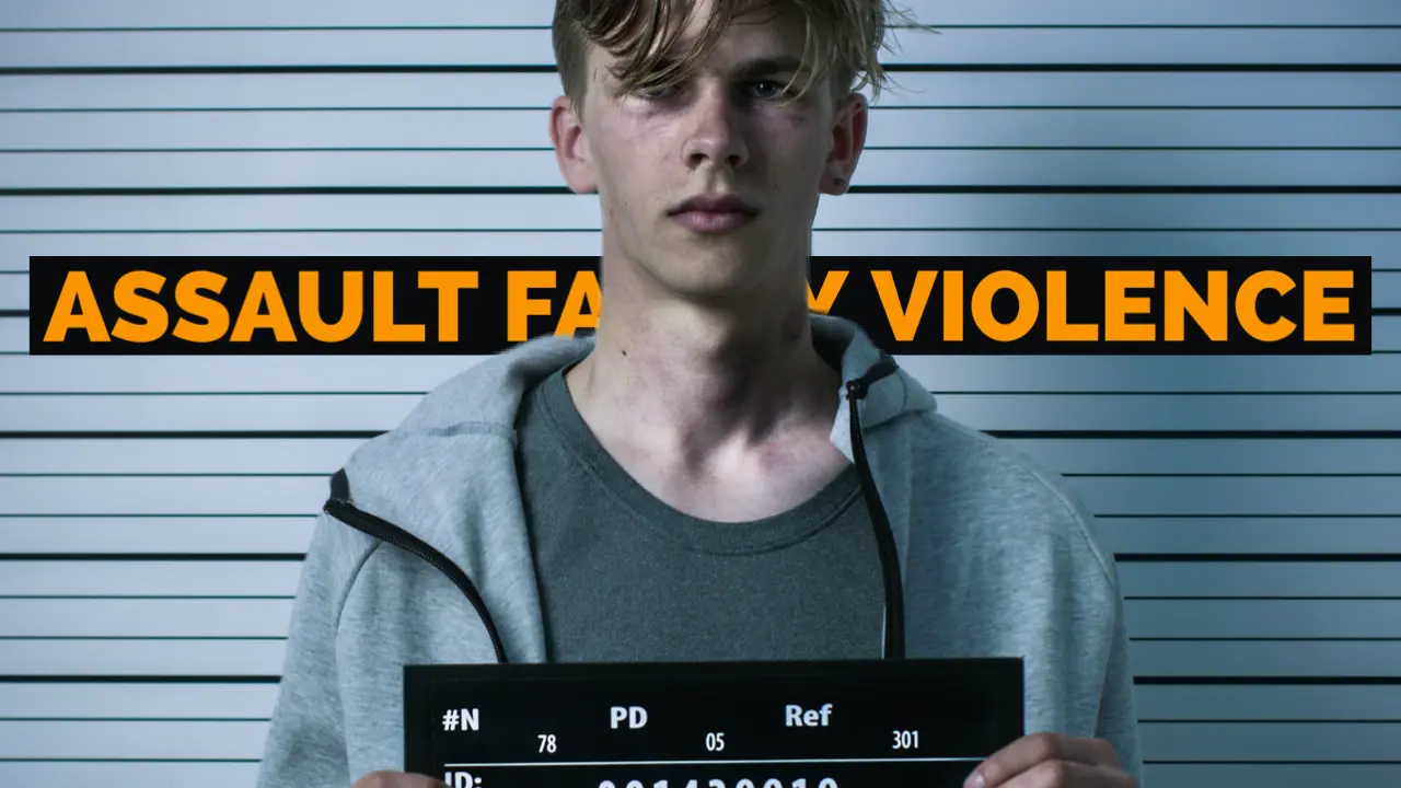 Assault Family Violence